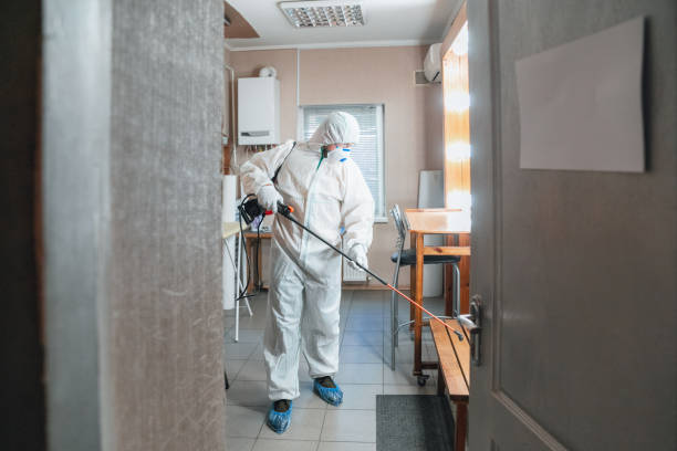 Best Dehumidification Services  in Prudenville, MI