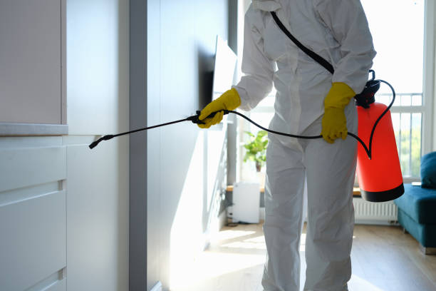 Best HVAC Mold Inspection and Cleaning  in Prudenville, MI