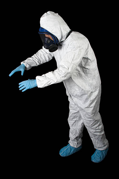 Best Attic Mold Removal  in Prudenville, MI